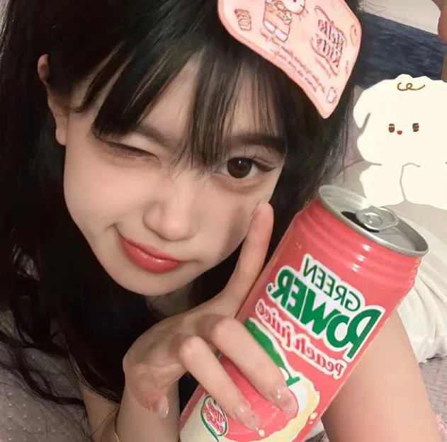 模范爱侣海报