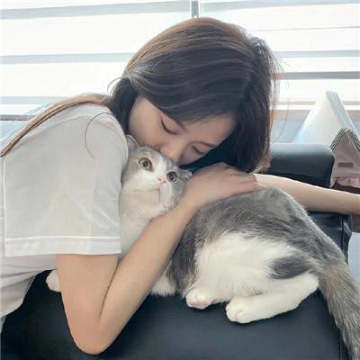 代号九耳犬海报